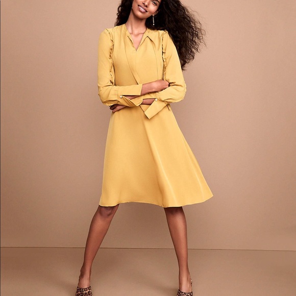 Ann Taylor Ruffle Sleeve Dress - Picture 4 of 5